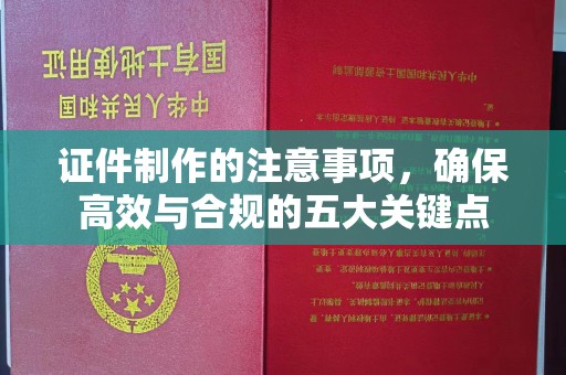 安多证件制作的注意事项，确保高效与合规的五大关键点