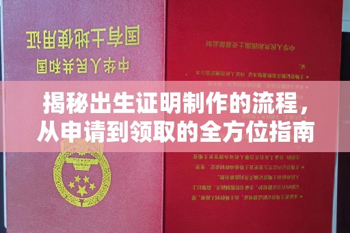 安多揭秘出生证明制作的流程，从申请到领取的全方位指南